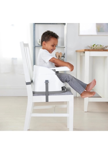 Ingenuity Baby Base Portatif Mama Sandalyesi Mist