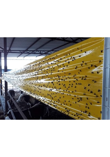 Karasinek Tuzagı Sinbant 15Cmx100 Metre