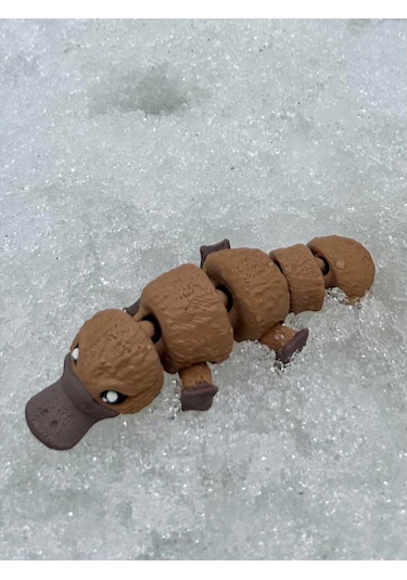 Ornitorenk Oyuncak 3d Hareketli Organik Vip Model- Orta Boy