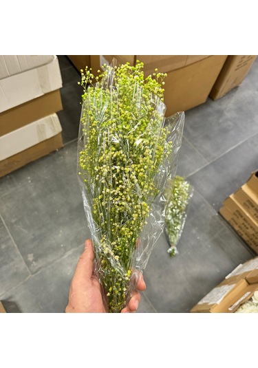 Konak Züccaciye Şoklanmış Doğal Cipso Bağı Yeşil