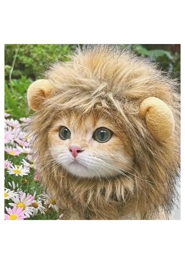 Traje Den Kedi Kostümü Aslan Yelesi