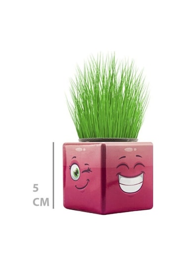 Çim Adam Mini Küp Emoji Figürlü 1 Adet Çok Renkli