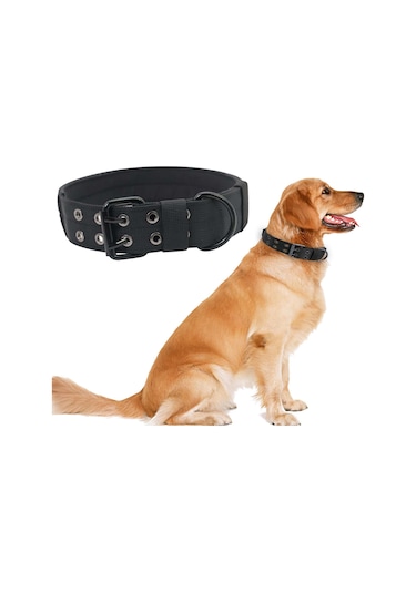 Homyl Metal Tokalı Köpek Tasması Evcil Hayvan Eğitim Yaka Siyah