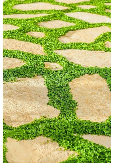 Fare Kulağı TohumuDichondra Repens1 KG