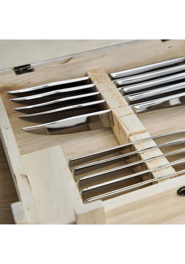 Zwilling Biftek Bıçak Seti 12 Parça 391.40.0087 Zwilling Çok Renkli