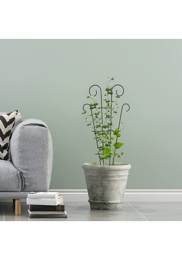 Lebihmurah 2544 Tırmanma Asma Rafı Paslanmaz Saksı Tırmanma Bitkileri Asma Kafes