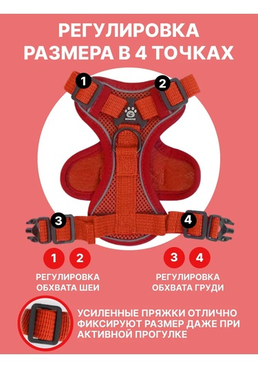 Tori Küçük Ve Orta Irklar İçin Tasmalı Köpek Kayışı Ve Kedi Şeridi 451340234