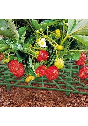 Hangfox 3 Adet Yeşil Plastik Çilek Tutucu, Bitki Büyüme Desteği, Meyve Çürümünü Önleyen Bahçe/çiftlik Ekipmanı