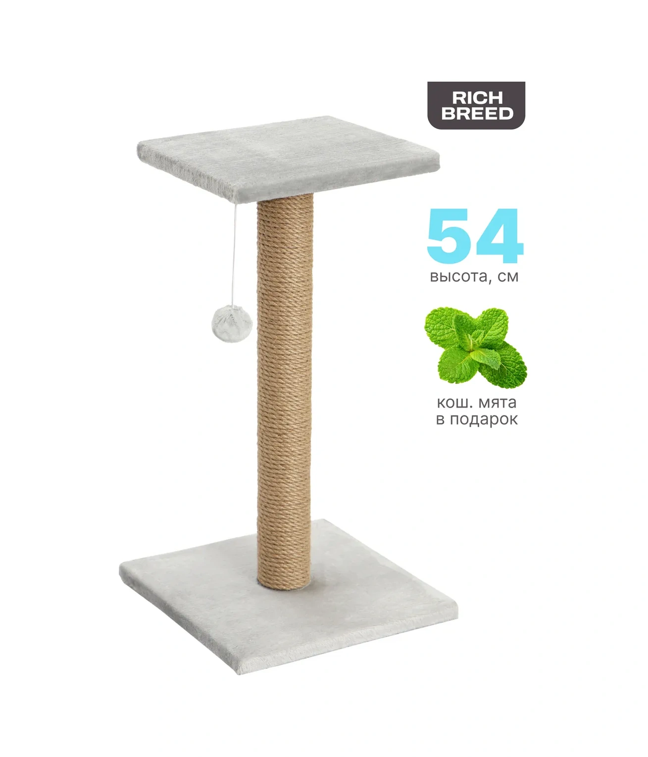 Rıch Breed Kedi Tırmalama Direği Masası Zeminli Dinlenme Yatağı 37112785