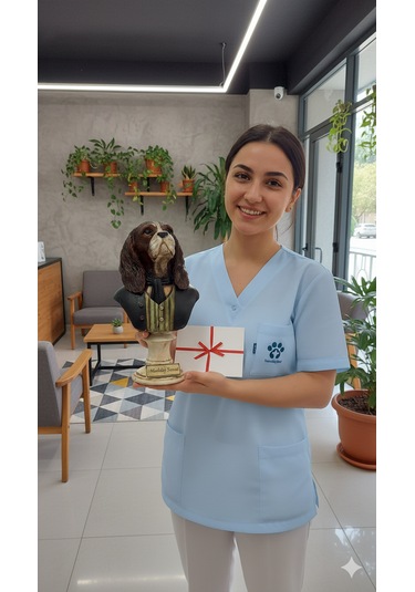 Dekoratif Veteriner Temalı Hediye Biblo Dekoratif Köpek Biblo Karışık