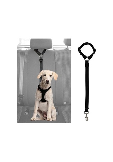 Araç İçi Kedi Köpek Emniyet Kemeri