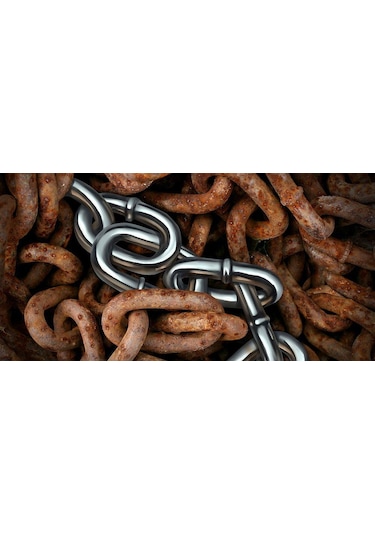 Stein Ileri Teknoloji Kuvvetli Pas Sökücü 1 L