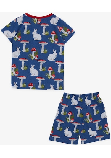 Breeze Kız Bebek Pijama Takımı Doğa Temalı Tavşancık Desenli 9 Ay-3 Yaş, Mavi-mavi Mavi