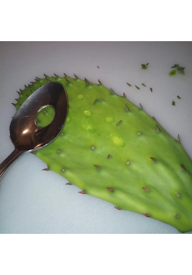 Ximistore9 3'lü Çelik Nopal Soyma Kaşığı - Çok Amaçlı Mutfak Aleti, Köfte Yapıcı, Mexico Kaktüs Soyucu Gümüş