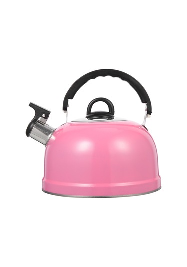 Paslanmaz Çelik Su Isıtıcısı, Su Isıtıcısı, Çaydanlık, Gazlı Ocak, Ocak, Çaydanlık, Sıcak Su Isıtıcısı Diğer