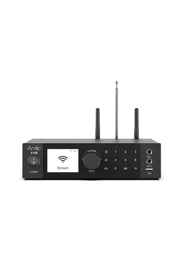 Arylic A100 Stream Amfi