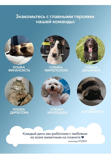 Sturdy Köpekler İçin Yara İyileştirici Patiler Ve Burun Kremi 388865168