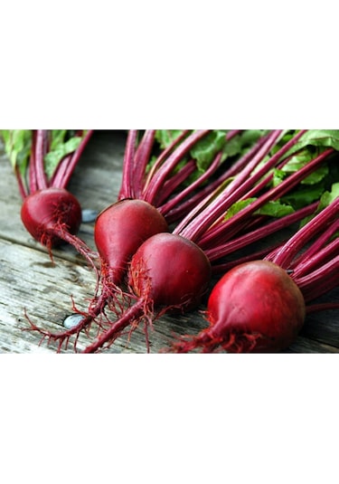 Kırmızı Pancar Tohumu 10GR