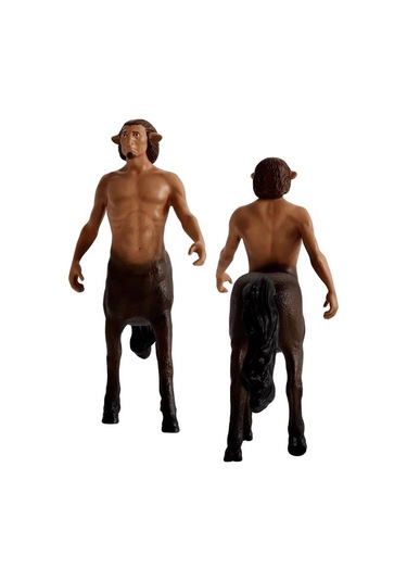 Schleich Harry Potter Büyücülük Dünyası Mini Figür Firenze 13986