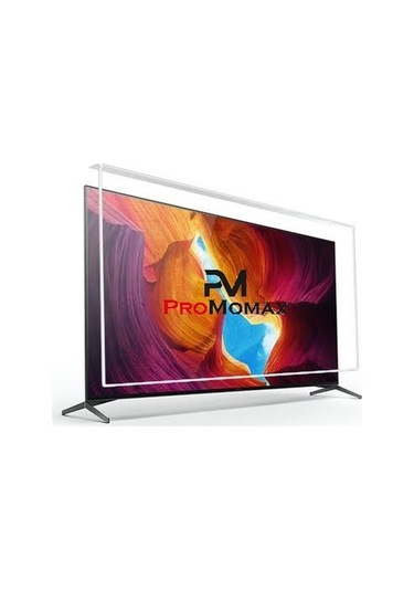 Promomax TV Ekran Koruyucu 55 İnç 140 Ekran Ekran Koruma Paneli