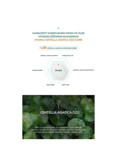 Missha Cicadin Rescue Ato Mega Sun Protection Cushion SPF50+ 25 G