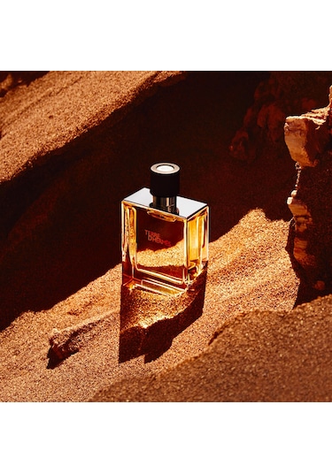 Hermes Terre D'Hermes Pure Erkek Parfüm EDT 75 ML