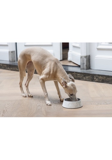 Beeztees Dbl Köpek Mama Su Kabı, Mat Paslanmaz Çelik, Beyaz Mermer Görünümlü, 17,5cm, 350ml