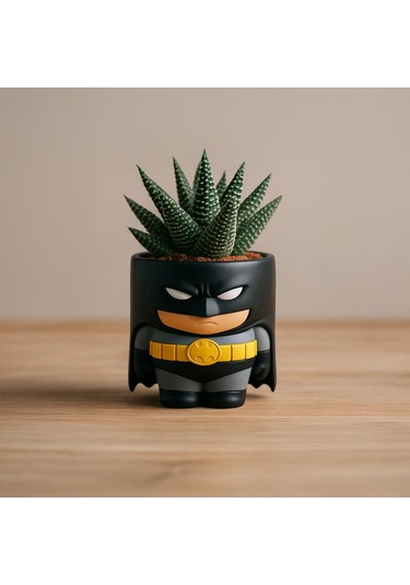 Batman Figürlü Mini Saksı