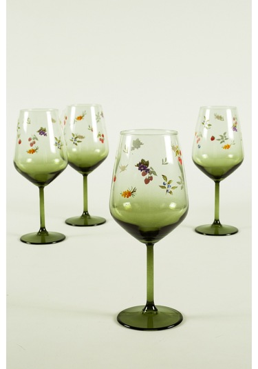 Rakle Jardin 4'lü Su Kadehi Seti 490 Cc Renkli