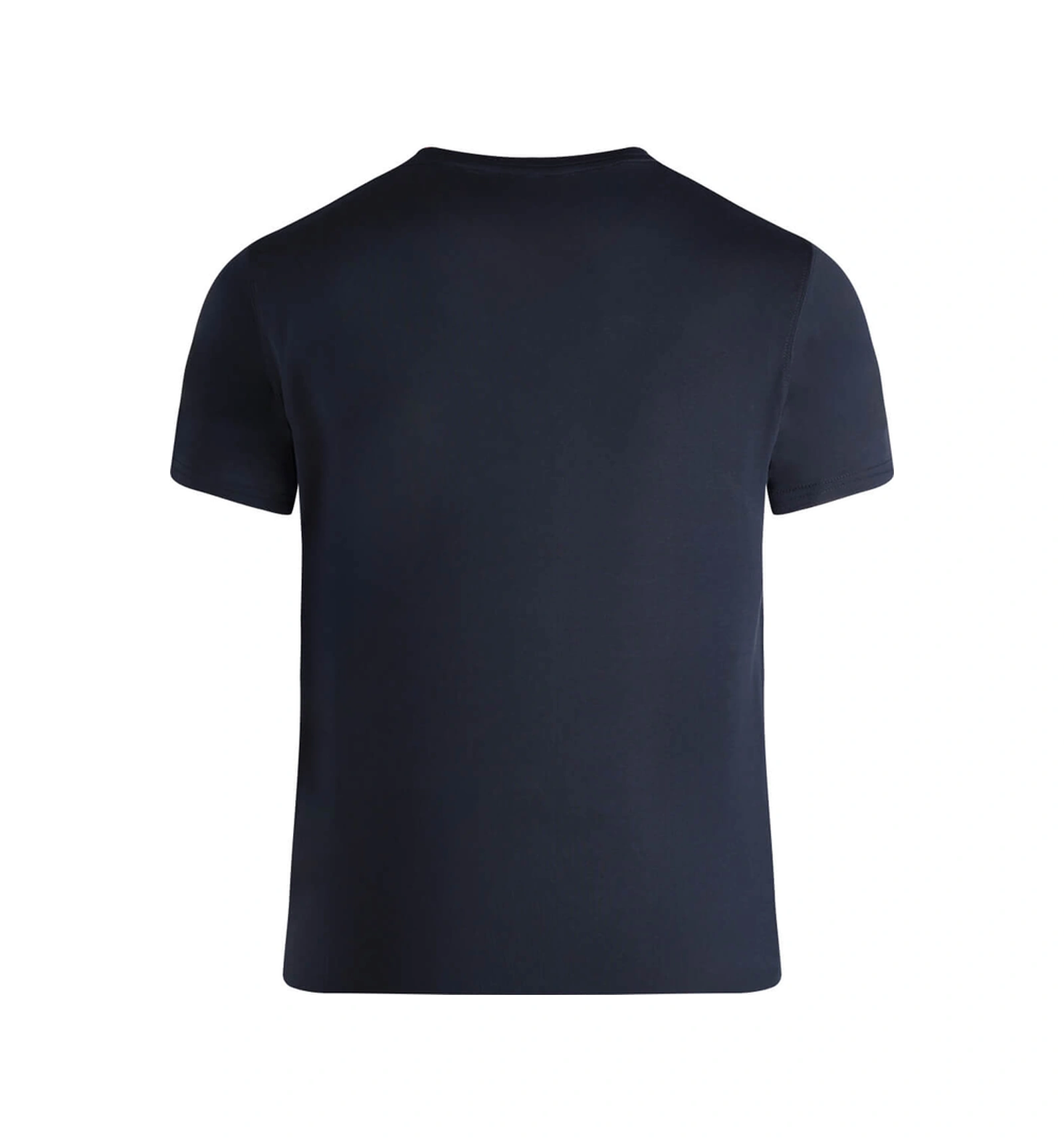 Antrasit Regular Fit Bisiklet Yaka Tişört 548173