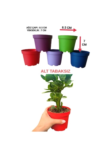 20 Adet KÜÇÜK BOY Plastik 5 Renkli Çiçek Üretim Saksısı (8.5 CM.LİK) Alt Tabaksız