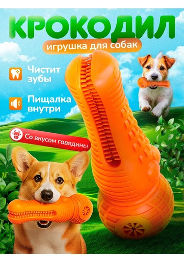 Köpekler İçin Diş Temizleme Oyuncağı 433594088