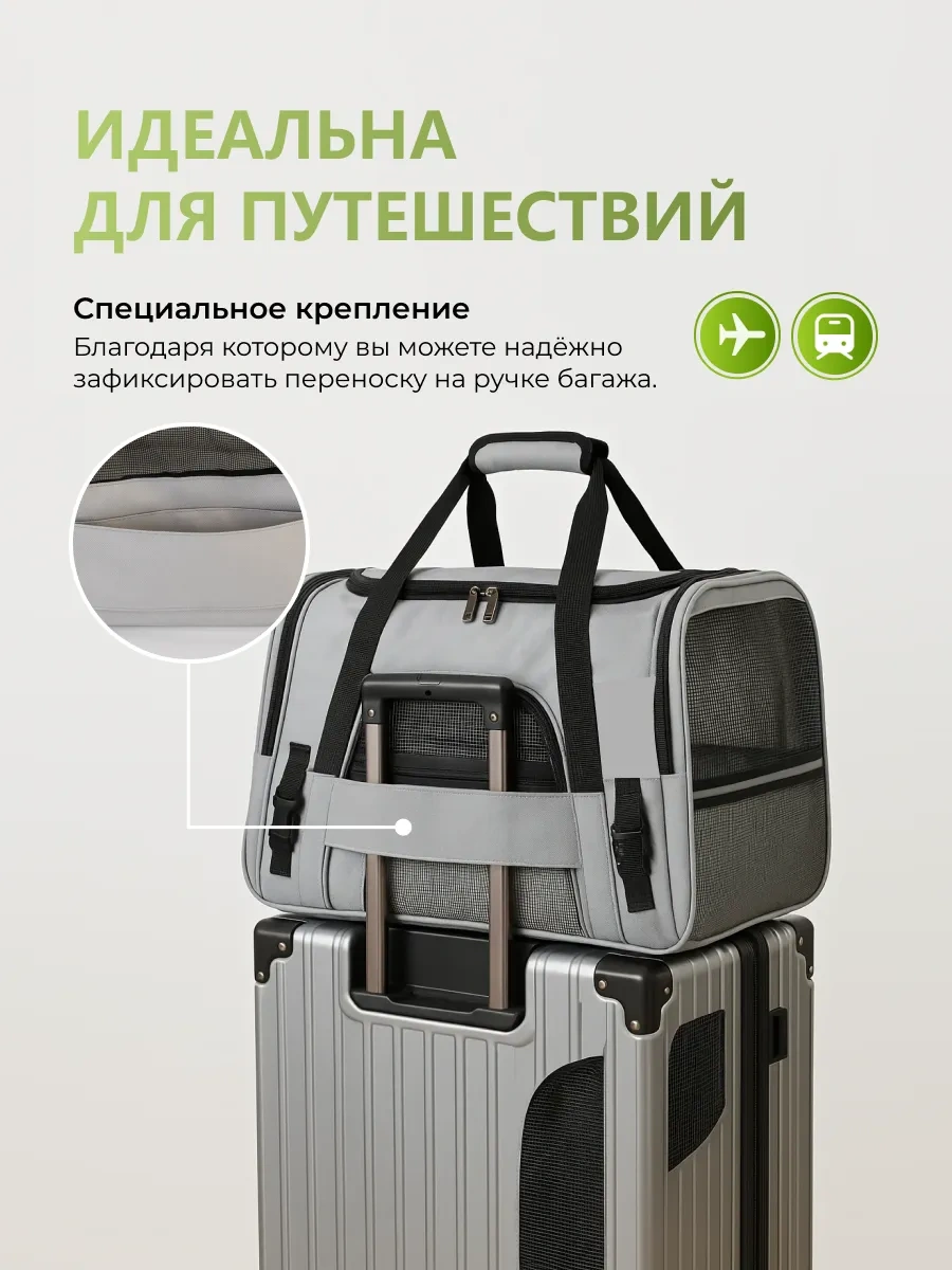 Petite Pets Kedi Ve Köpekler İçin Taşıma Çantası 453265995