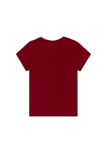 U.s. Polo Assn. Erkek Çocuk Tişört 50313932-vr104 Koyu Frambuaz/dark Raspberry