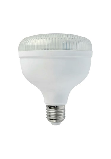 Horoz 30 Watt Crystal Led Ampul Günışığı Günışığı