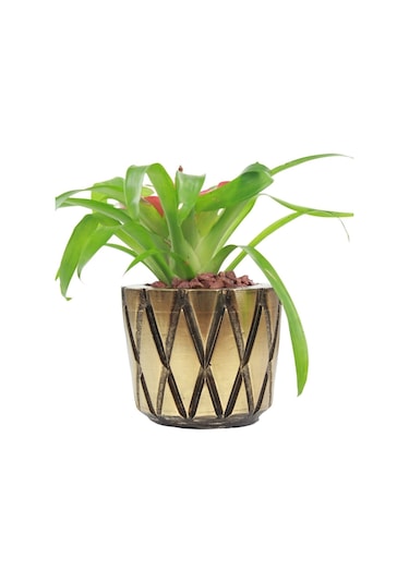 Saksı Çiçek Kaktüs Saksısı Lüx 15 Cm Baklava Desen Saksı Çiçeklik - Altın Eskitme