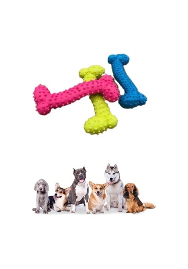 Büro Ev Evcil Hayvanı İçin Mini Platik Tırtıklı Köpek Oyuncak Kemiği