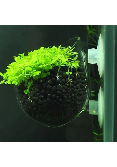 Hfambition Akvaryum Bitki Suction Cup Cam Süs Tepsi - Balık Saklanma Ve Gelişme İçin Doğal Ortam, Işık Ve Hava Akışı Sağlar