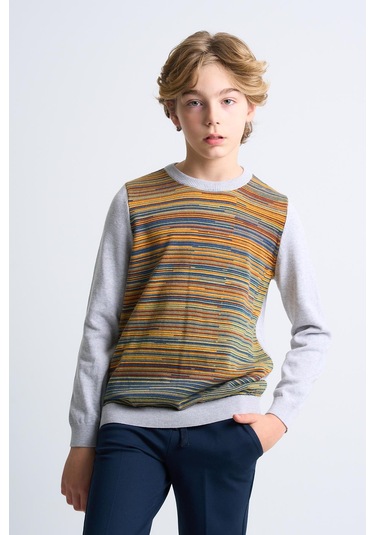 Alexandergardı Desenli Çocuk Triko Kazak C21-18672 Gri