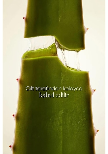 Xaura Global Aloe Vera Mask 4'lü Paket