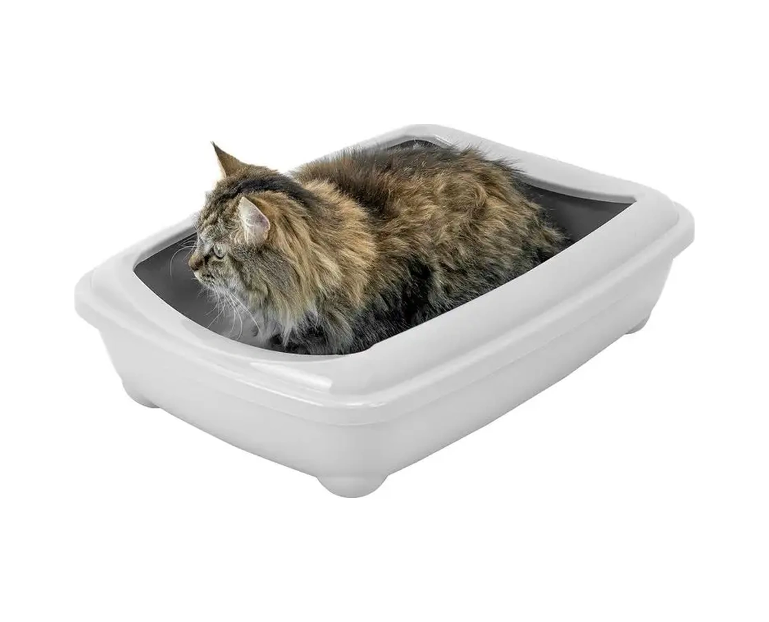 Pettails Kedi Tuvaleti, Büyük Yüksek Kenarlı Kedi Kumu Kabı 164373522