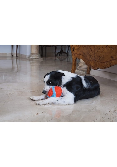 Chuckit! Indoor Fumbler Eve Özel Yumuşak Köpek Oyun Topu