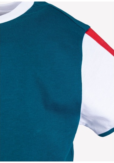 Renk Alternatifli Erkek Çocuk T-Shirt (428364328) Yeşil