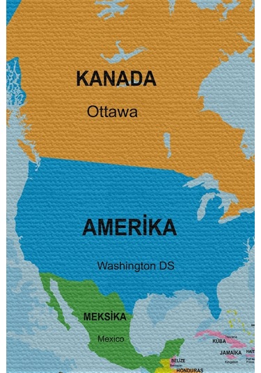 Harita Sepeti Duvar Örtüsü Halısı Detaylı Güncel Türkçe Dünya Haritası Kaliteli Kanvas Kumaş-3976-65 X 40