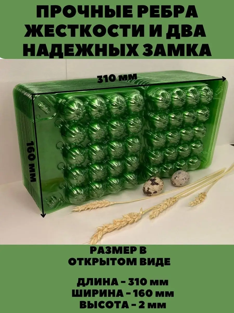 Tpt Bıldırcın Yumurtaları İçin 20 Gözlü Kutu - 100 Adet 119389110 Yeşil