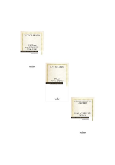 Insan Neyle Yaşar + Bir Idam Mahkumunun Son Günü + Genç Werther İn Acıları Hasan Ali Yücel 3 Kitap