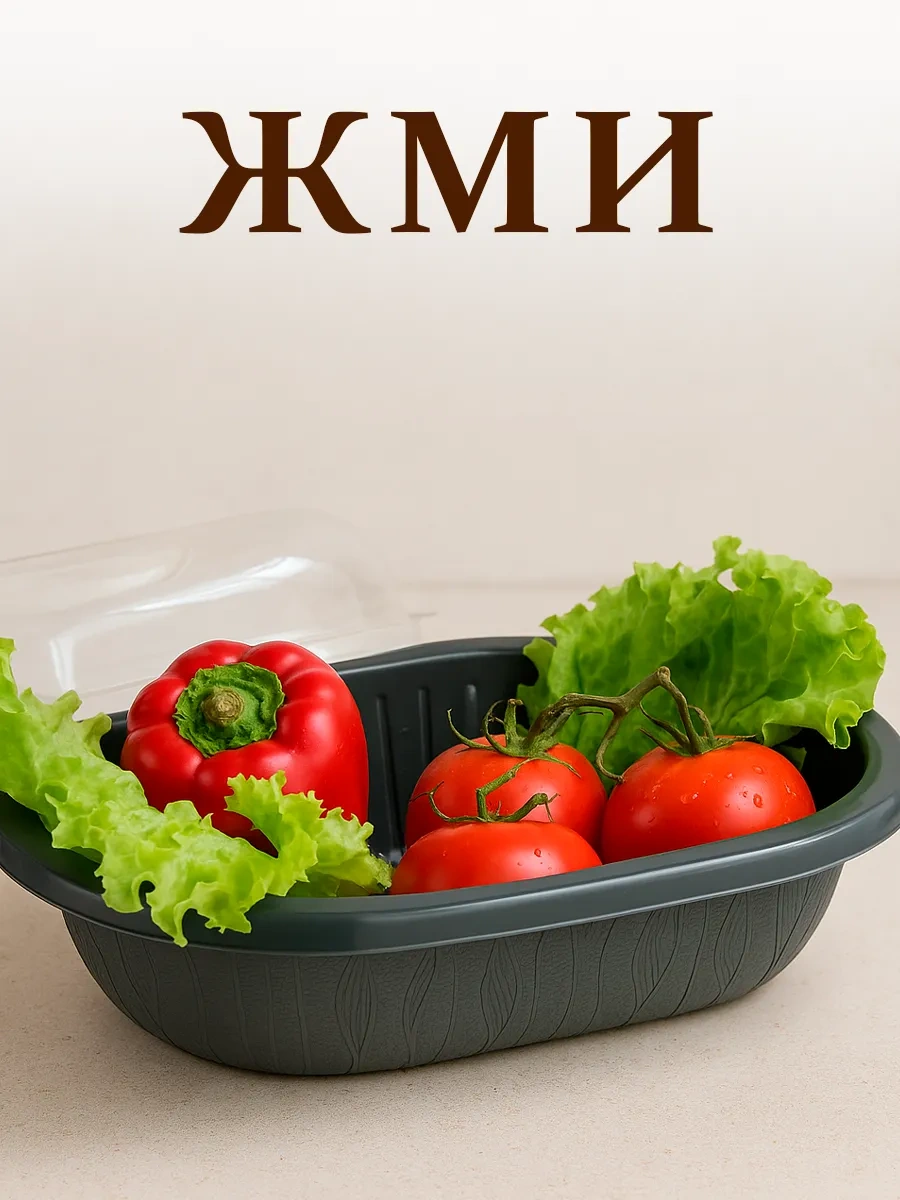 Galaopt Kapaklı Plastik Ekmek Kutusu 2 Adet 445078165 Grafit