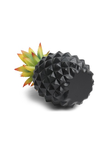 Homyl Reçine Ananas Süs Ev Dekorasyonu Nesnesi Masaüstü Siyah Orta