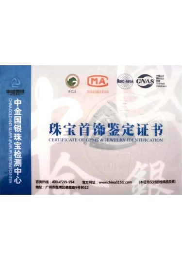 Beyaz Bagueringen Kadın Ayar Gümüş 925 Takı 1 Karat Mozanit Pırlanta Damla Küpe Ayçiçeği Şekilli Kulak Damlası Hediye