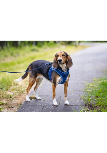 Beeztees Köpek Göğüs Tasması, Neopren, Mavi, M, 41-46cm Çok Renkli